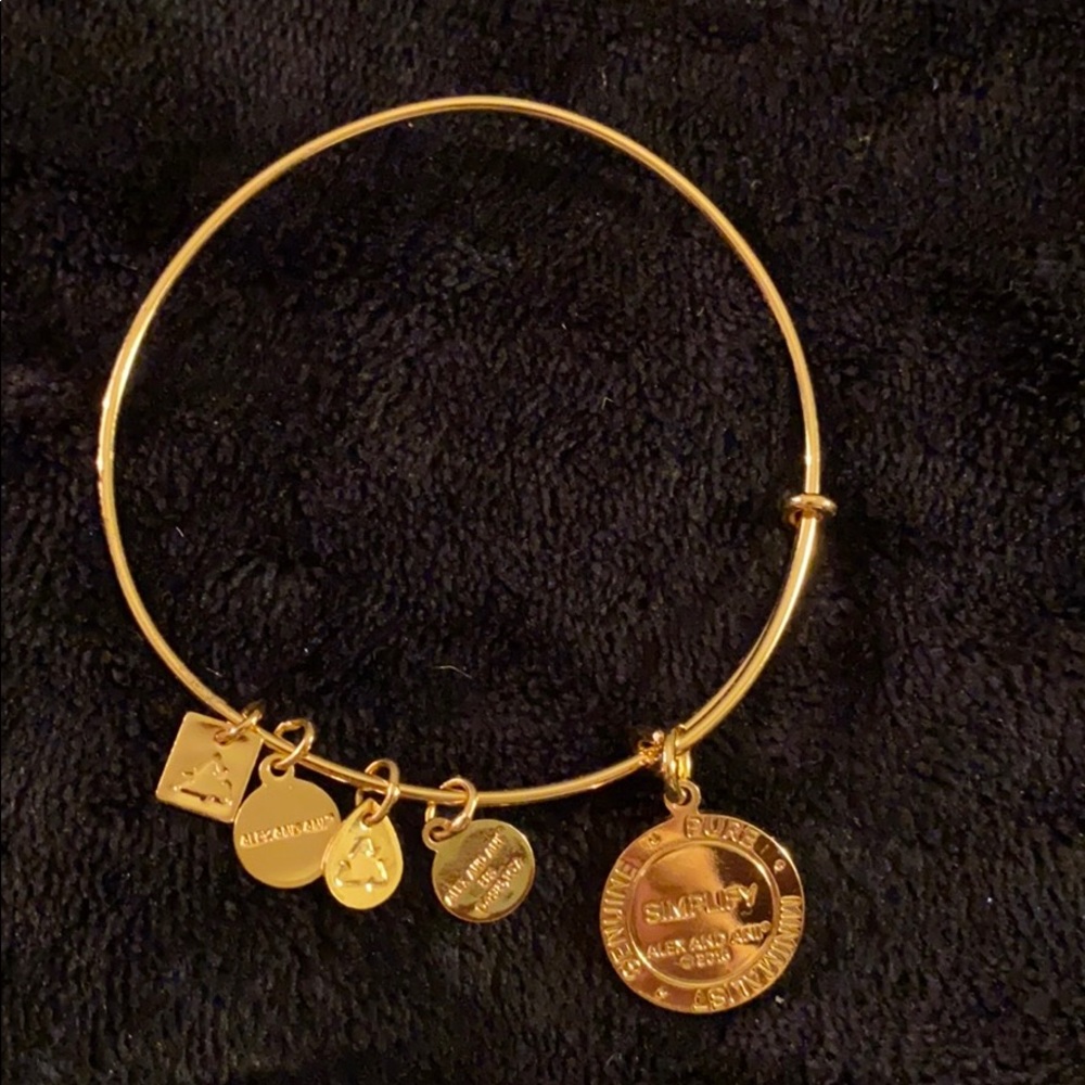 Alex and Ani shiny gold “simplified”bracelet